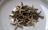 Accessories - 20 Pcs Of Antique Bronze Starfish Charms 16x20mm A524