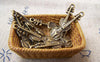 Accessories - 20 Pcs Of Antique Bronze Violin Charms 7x24mm A1691