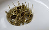 Accessories - 20 Pcs Of Antique Gold Flower Earring Posts With Loop Steel Pin 9mm A6846