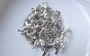 Accessories - 20 Pcs Of Antique Silver Lion Charms 14x20mm Double Sided A7572