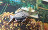 Accessories - 20 Pcs Of Antique Silver Lovely Salmon Fish Charms 10x18mm A4625