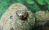 Accessories - 20 Pcs Of Antique Silver Rondelle Fish Heart Beads 10mm A5734