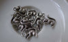 Accessories - 20 Pcs Of Antique Silver Squirrel Charms 13x15mm A7558