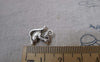 Accessories - 20 Pcs Of Antique Silver Squirrel Charms 13x15mm A7558