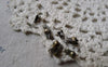 Accessories - 200 Pcs Of Antique Bronze Iron Clamshell Bead Tips Fold Over Clasps For Bead Chain Sized  2.4mm  A6157