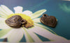 Accessories - 30 Pcs Of Antique Bronze Dotted Heart Charms 11x13mm A1507
