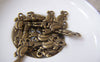 Accessories - 30 Pcs Of Antique Bronze Parrot Charms 8x20mm Double Sided A3484