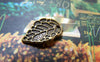 Accessories - 30 Pcs Of Antique Bronze Tree Leaf Charms 10x16mm A5210