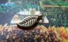 Accessories - 30 Pcs Of Antique Bronze Tree Leaf Charms 5x11mm A5208