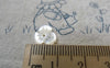 Accessories - 4 Pcs Of Natural Shell Engraved Flower Charms 10mm A6718
