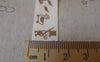 Accessories - 5.46 Yards (5 Meters) Green Solider Bird Print Cotton Ribbon Label String A7480