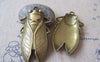 Accessories - 5 Pcs Antique Bronze Huge Cicada Pendants 34x62mm A3607