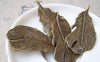 Accessories - 5 Pcs Of Antique Bronze Lovely Feather Charms Pendants 25x49mm A357