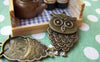 Accessories - 5 Pcs Of Antique Bronze Lovely Owl Charms Pendants 20.5x35mm A140