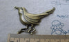 Accessories - 5 Pcs Of Antique Bronze Woodpecker Bird Charms Pendants 36x54mm A7721