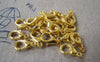 Accessories - 50 Pcs Gold Tone Lobster Clasp 12mm A4136