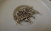 Accessories - 50 Pcs Of Antique Silver Feather Charms 5x28mm A7496