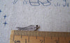 Accessories - 50 Pcs Of Antique Silver Feather Wing Charms 5x16mm A4530