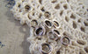Accessories - 50 Pcs Of Antique Silver Smooth Seamless Round Ring Circle 8mm 14gauge A5432