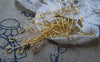 Accessories - 50 Pcs Of Gold Tone Steel Double Sided Eye Pins 25mm -------- 28gauge A2821