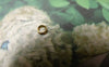 Accessories - 500 Pcs Of Gold Tone Jump Rings Size 3mm 25gauge A6761