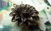 Accessories - 6 Pcs Of Antique Bronze Daisy Flower Charms 23mm A342