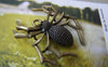 Accessories - 6 Pcs Of Antique Bronze Huge Spider Pendants Charms 30x34mm A4678