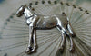 Accessories - 6 Pcs Of Antique Silver Horse Charms Pendants Connectors 43x43mm A5473