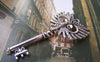 Accessories - 6 Pcs Of Antique Silver Owl Key Pendants Charms 28x56mm A1842