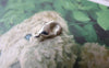Accessories - Bronze Silver Platinum Gold Brass Lobster Claw Clasps 6x12mm High Quality