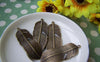 Accessories - Feather Charms Antique Bronze Curved Leaf Pendants 17x43mm Set Of 6 Pcs A352