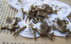 Accessories - Peace Shalom Dove Bird Carrying Olive Branch Charms 18x23mm Set Of 10 Pcs A2804