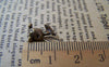 Accessories - Rabbit Head Charms Antique Bronze Pendants 9x13mm Set Of 30 Pcs A3006