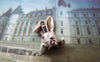 Accessories - Rabbit Head Charms Antique Silver Bunny 9x14mm Set Of 30 A4439