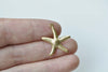 10 pcs Raw Brass Starfish Charms Embellishments 20x22mm A8563