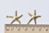 10 pcs Raw Brass Starfish Charms Embellishments 20x22mm A8563