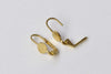 20 pcs Raw Brass Leverback Earwire With 6mm Pad A8730