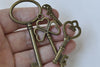 Antique Bronze Skeleton Key Charms Pendants Assorted Set of 69 A8785