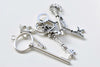 Antique Silver Skeleton Key Charms Pendants Assorted Set of 19 A8787