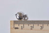 20 pcs Antique Silver Peach Fruit Charms 8x14mm A8996