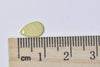50 pcs Raw Brass Blank Teardrop Charms 6x10mm A8995