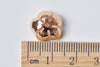 20 pcs Raw Brass Plum Flower Bead Cap Embellishments 6x13mm A6862