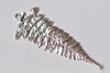 10 pcs Tree Leaf Charms Pendant 22x58mm Antique Bronze/Silver/Gold
