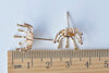 6 pcs 24K Champagne Gold Round Snap-Set Post Earring Post Studs A5924