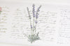 Rose Flower Washi Tape Japanese Masking Tape 55mm x 5 Meters Roll A10664