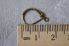 Antique Brass Leverback Earwire Findings Set of 40 A7903
