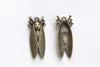 Cicada Charms Antique Bronze Insect Pendants Set of 10 A8096