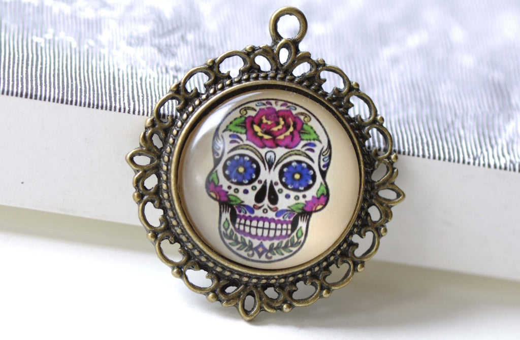 Skull Photo Glass Cabochon Dome Round Cameo 25mm Set of 5 A8201