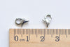 Stainless Steel Parrot Heart Round Lobster Clasps Small Large Sizes