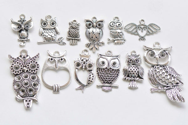 Antique Silver Owl Charms Mixed Style Set of 12  A8655